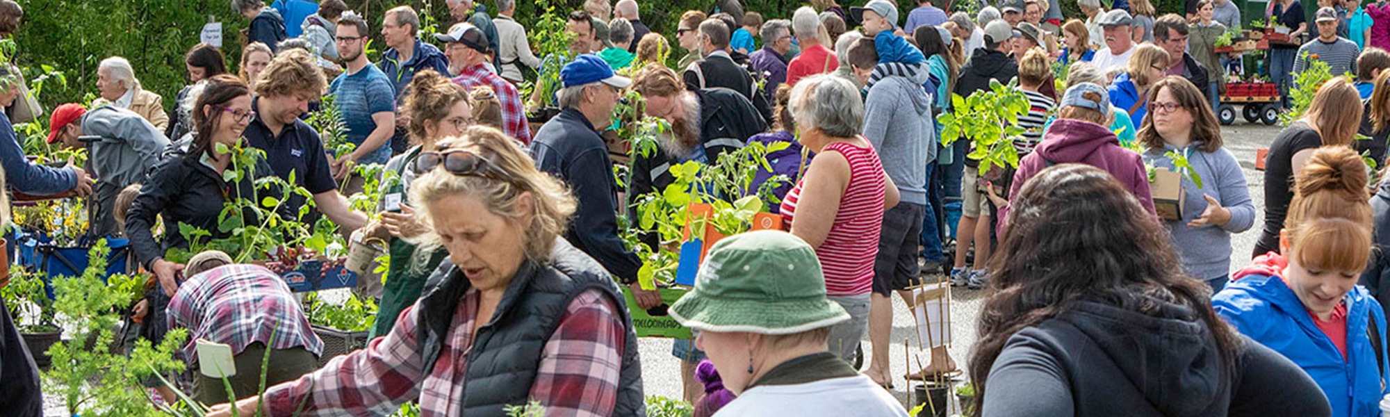 Plant Sale