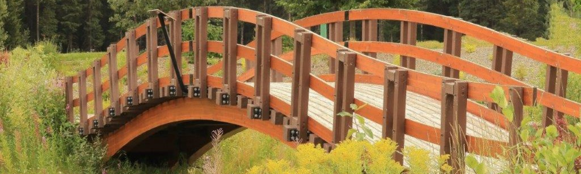 bridge