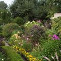 IMG_8171 copy.jpg