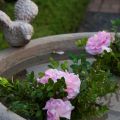 IMG_8161 copy.jpg