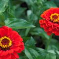 IMG_8178 copy.jpg