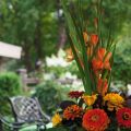 IMG_8144 copy.jpg