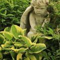Garden Tours